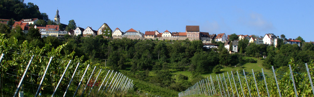 Löwenstein Panorama SW vor der Rodung